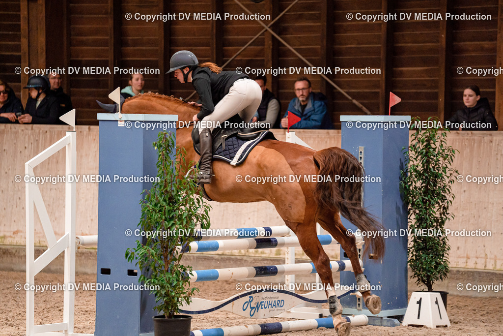 Springen Tag 2-130 | dv-media-shop - Realisiert mit Pictrs.com