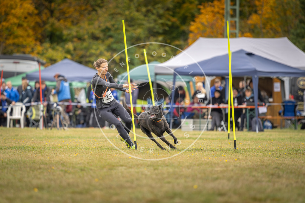 Pfotenfotografie_DV3A4225 | Hundefotografie, Tierfotograf, Pfotenfotografie, Fotoshooting Hund, Hunde Portrait, Hundesport, Hundeportraits, Heideshooting, Hunde, Sportfotograf, Hundefotograf, Turnierhundsport, THS,  - Realisiert mit Pictrs.com