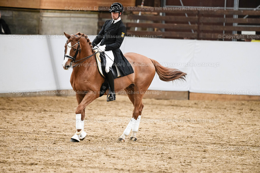 20260307_Hengstvorstellung-Marbach_0322 | equistock
