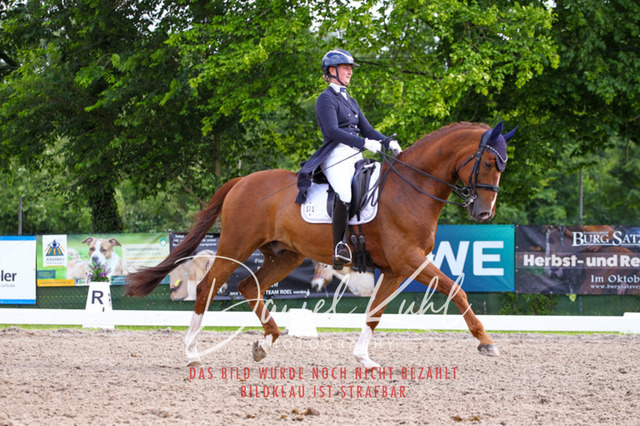 DKP41545 | Turnierfotos kaufen im Webshop von Daniel Kuhl Photography – entdecke professionelle Reitsportfotos aus Turnieren & Events. Hochwertige Turnierbilder online bestellen & sichern. Jetzt Fotos von Reitsportturnieren kaufen!