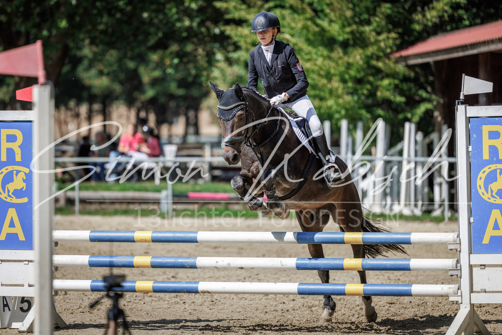 20260905-_3LI9469 | Tierfotografie Pferde, Hunde, Katzen, Haustiere.
Turnierfotografie Reitturniere, Reiten, Springreiten, Dressur in Hanau, dem Main-Kinzig-Kreis und dem Rhein-Main- Gebiet um Frankfurt