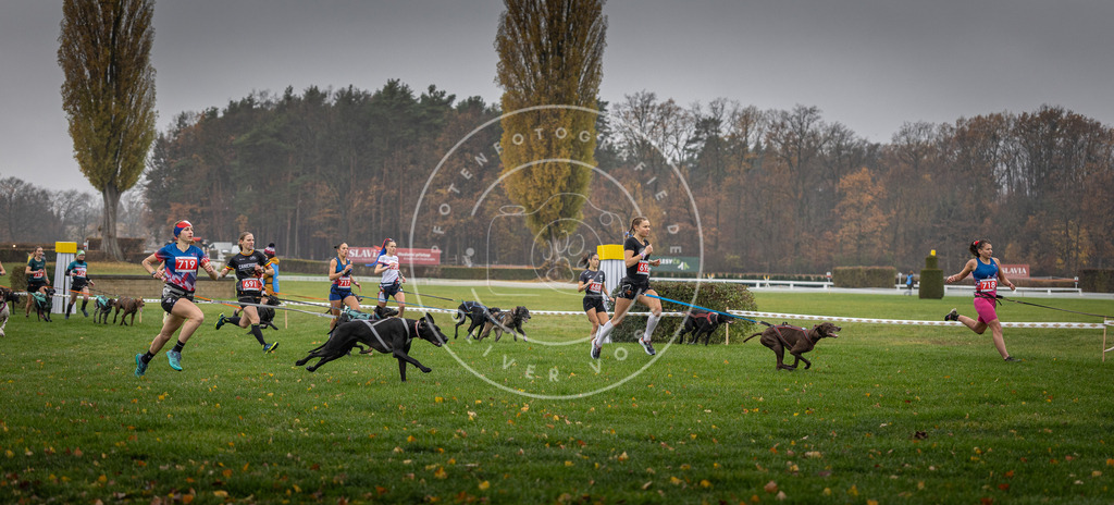 CaniXpix_DV3A8754 | Hundefotografie, Tierfotograf, Pfotenfotografie, Fotoshooting Hund, Hunde Portrait, Hundesport, Hundeportraits, Heideshooting, Hunde, Sportfotograf, Hundefotograf, Turnierhundsport, THS,  - Realisiert mit Pictrs.com