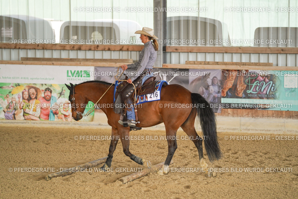 DSC02158 | Pferdegrafie