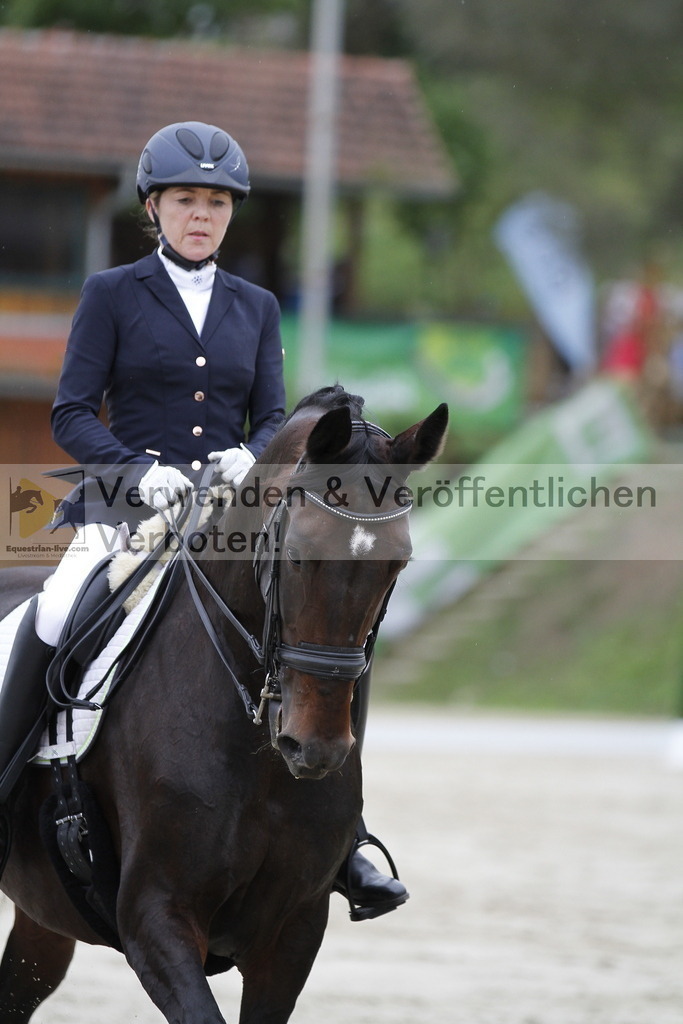 _MG_5508 | equestrian-live-com