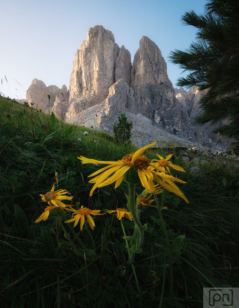 Val Gardena | Das Val Gardena im morgendlichen Licht des Sonnenaufgangs ist eine wahre Augenweide. Die Dunkelheit der Nacht weicht langsam den ersten zarten Strahlen der aufgehenden Sonne, die die majestätischen Dolomiten im Hintergrund sanft beleuchten.