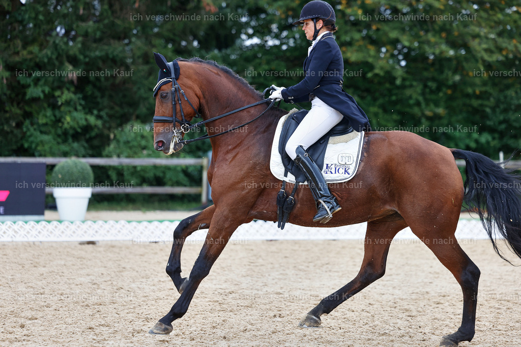 12-072-DRESSUR  S___  -StoibPH-5344 | working equitationturnier fotograf videograf stoibphotography marixx film working equitation deutschland reitsport turnierfotografie eventfotografie equestrian events