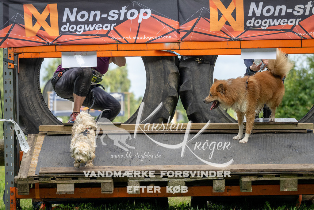 1205_ZZ93471 | kk-dogfotos