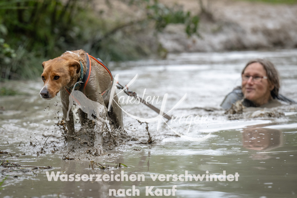 1331_ZZ90361 | kk-dogfotos