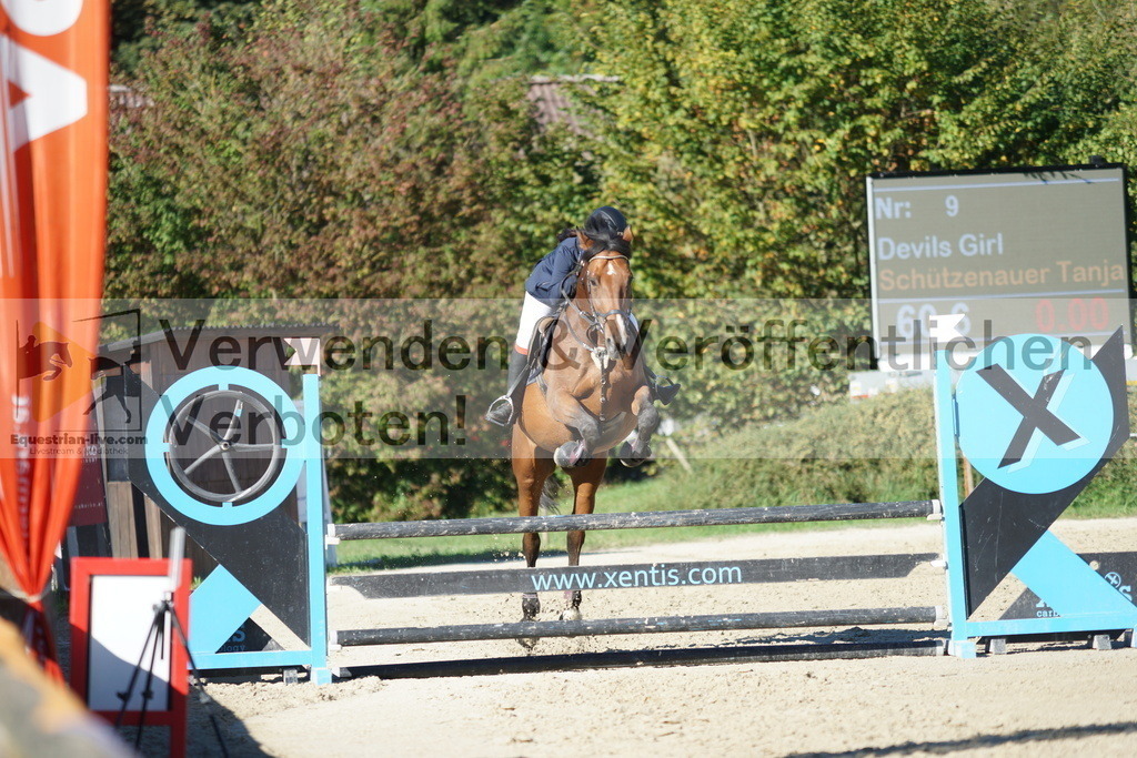 DSC08300 | equestrian-live-com