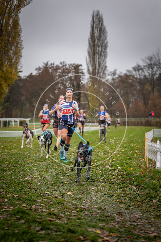 CaniXpix_DV3A9034 | Hundefotografie, Tierfotograf, Pfotenfotografie, Fotoshooting Hund, Hunde Portrait, Hundesport, Hundeportraits, Heideshooting, Hunde, Sportfotograf, Hundefotograf, Turnierhundsport, THS,  - Realisiert mit Pictrs.com