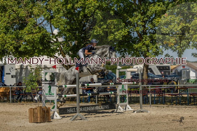 26-7-24 SPF M+-1115 | mandyhollmannphotographie