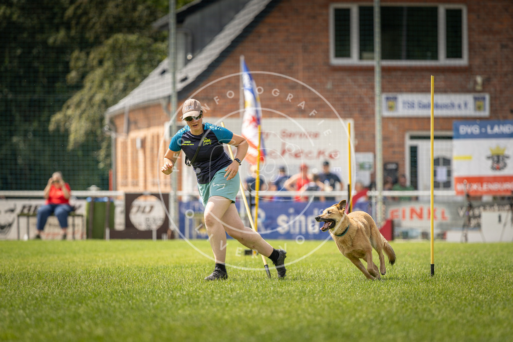 Pfotenfotografie_DV3A4325 | Hundefotografie, Tierfotograf, Pfotenfotografie, Fotoshooting Hund, Hunde Portrait, Hundesport, Hundeportraits, Heideshooting, Hunde, Sportfotograf, Hundefotograf, Turnierhundsport, THS,  - Realisiert mit Pictrs.com