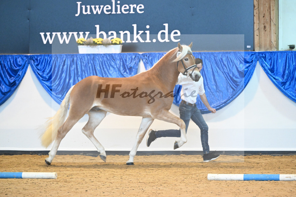 Kat-Nr. 10 nn v. Bugatti_Obermeyer_60220686 | hf-fotografie - Realisiert mit Pictrs.com