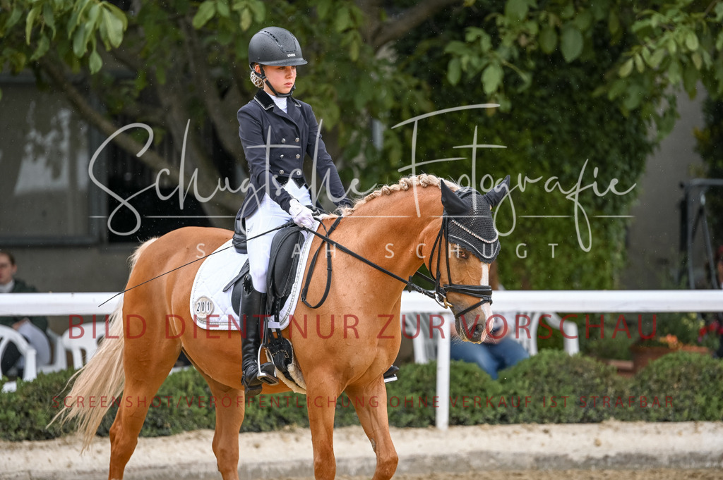 Schugtsche-Aluta25-41.Amat-Dressurprf.A_-498 | Schugtsche Fotografie - Realisiert mit Pictrs.com