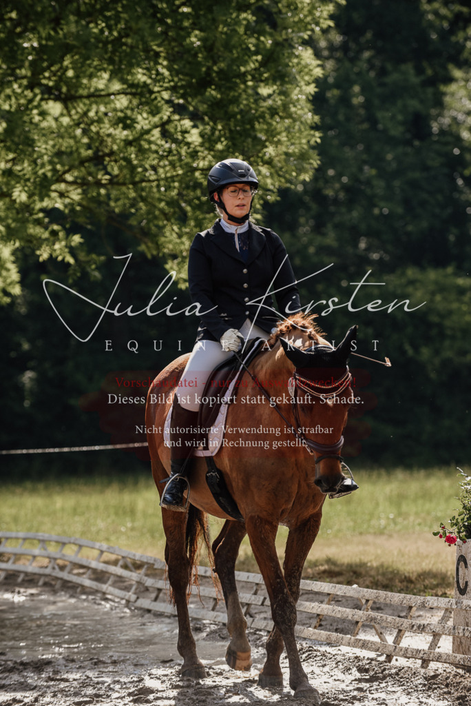 DSC_8860 | Pferde- und Turnierfotografie in Westsachsen. Pferdeportraits, Auftragszeichnungen und intuitive Kunst.