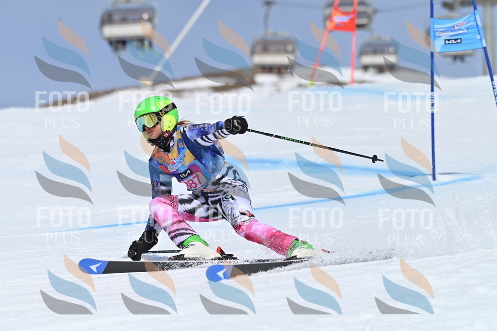 BGV_0713 | holidayphoto