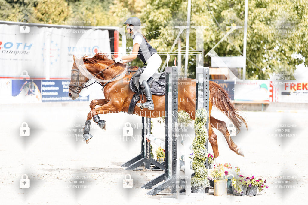 CK906371 | Turnierfotografie Pferdefotografie Trier Rheinland-Pfalz Pferdesport Reitsport Tierfotografie Sportfotografie Pferdevideo Pferdevideografie Equestrianvideography equestrianphotography  - Realisiert mit Pictrs.com