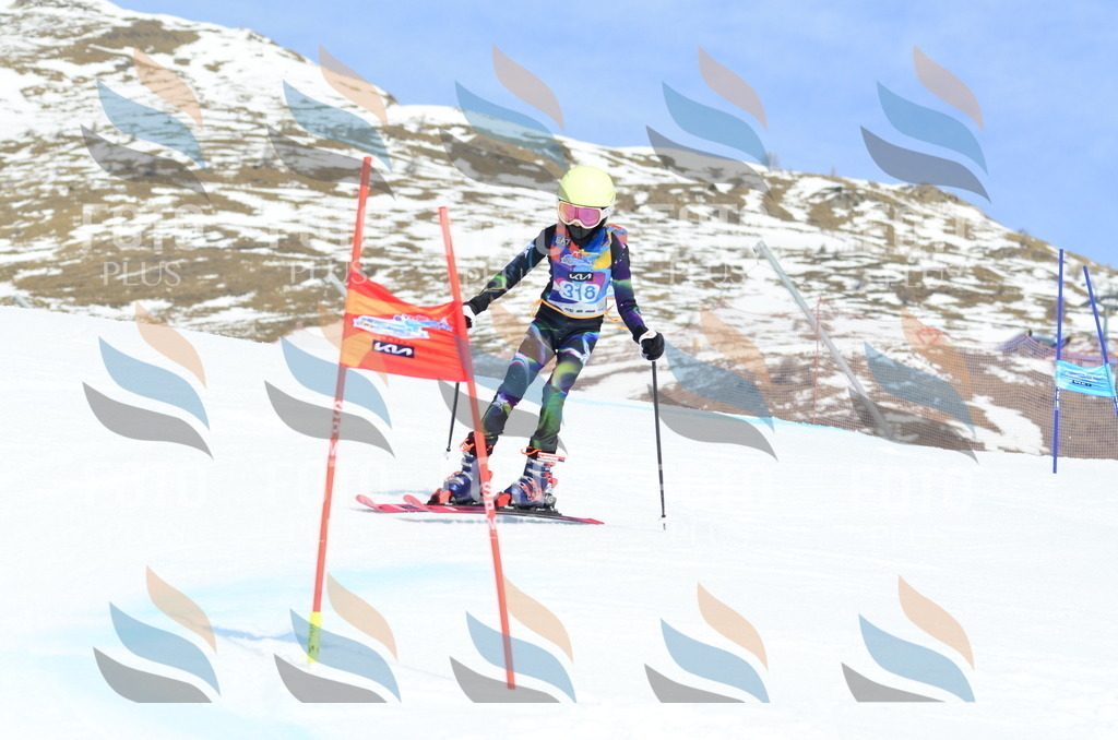 _ELE2432 | holidayphoto