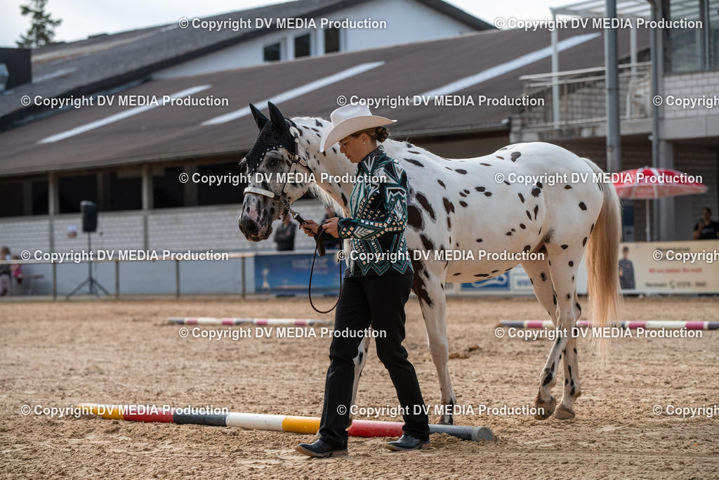 EWP_5601 | dv-media-shop - Realisiert mit Pictrs.com