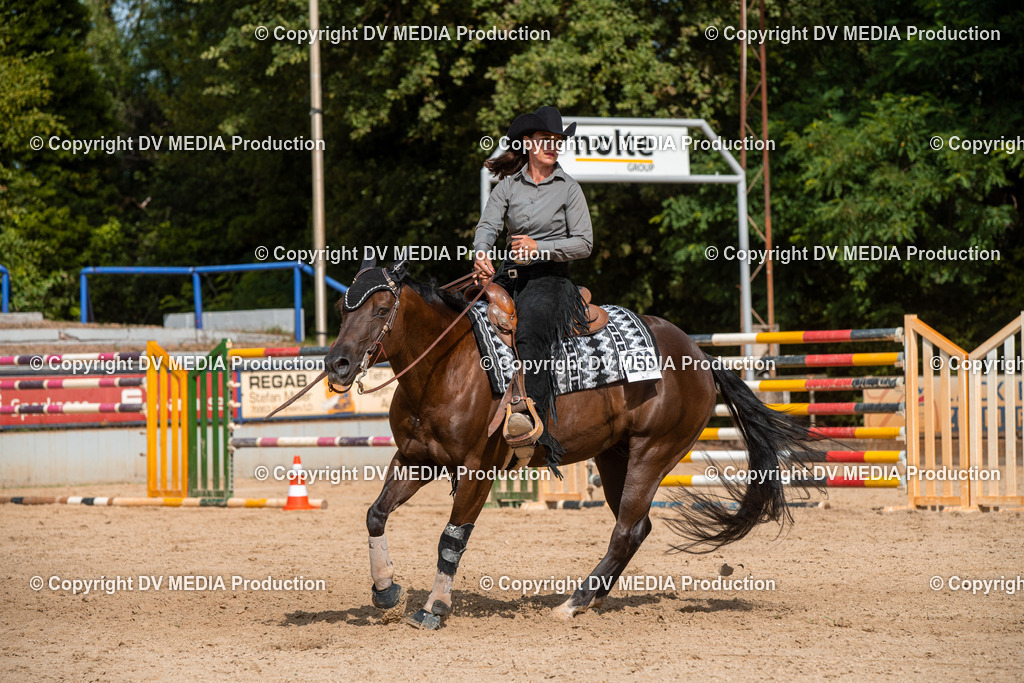 EWP_5914 | dv-media-shop - Realisiert mit Pictrs.com