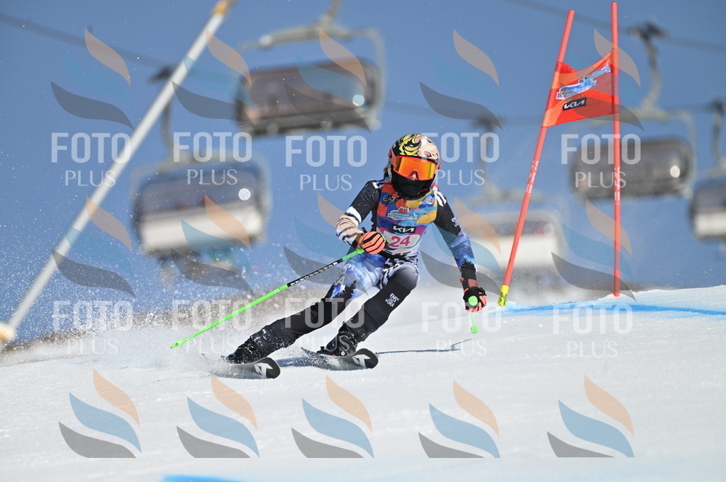 BGV_8018 | holidayphoto