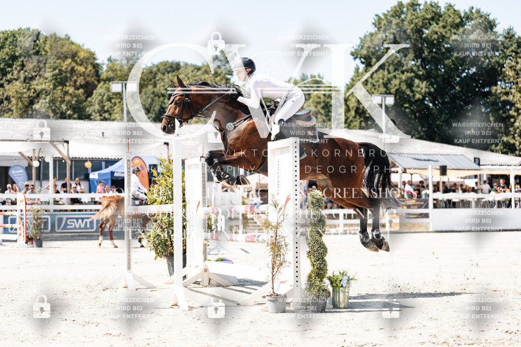CK909510 | Turnierfotografie Pferdefotografie Trier Rheinland-Pfalz Pferdesport Reitsport Tierfotografie Sportfotografie Pferdevideo Pferdevideografie Equestrianvideography equestrianphotography  - Realisiert mit Pictrs.com