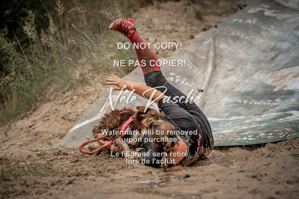 nelerasche_sa1100-1200_383 | nelerasche