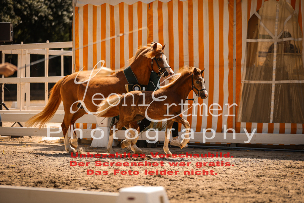 04.DoWP00116 | Leoni Ertmer Photography - Realisiert mit Pictrs.com