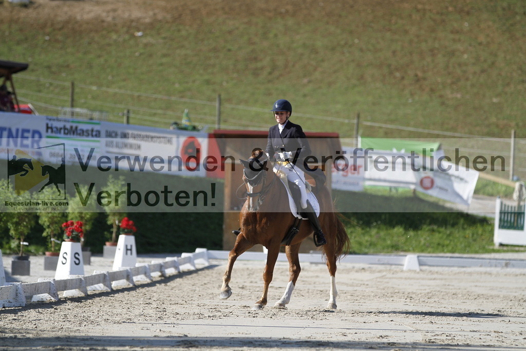 _MG_3146 | equestrian-live-com
