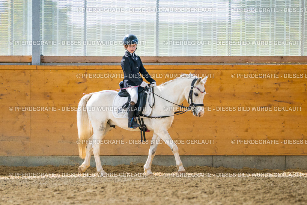 DSC00915 | Pferdegrafie