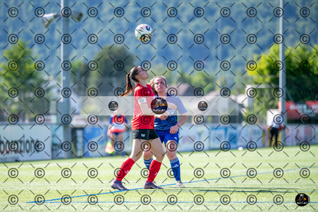 20260524_FCR- FF-4L vs FCS-FF-80 | Sport und Naturfotografie von Roberto Esposito zeigt echte Momente Bewegung und die Schönheit der Natur. Ausdrucksstarke Bilder schaffen Emotionen.