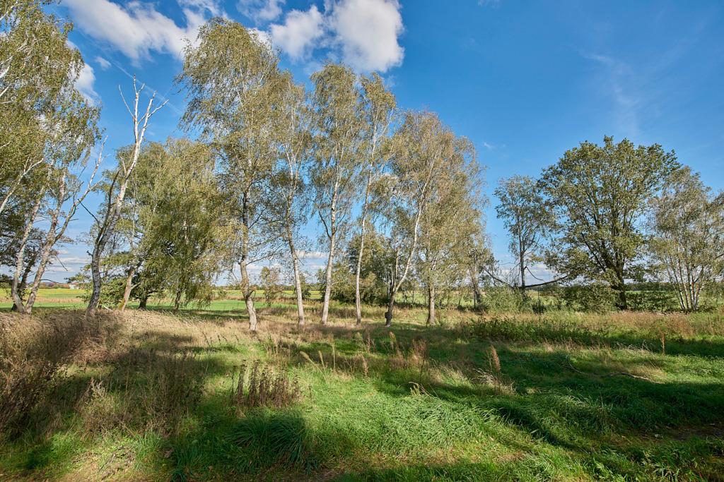 Südöstlich von Gruhno 07 | Bedeutsame Landschaften Deutschlands - Realisiert mit Pictrs.com
