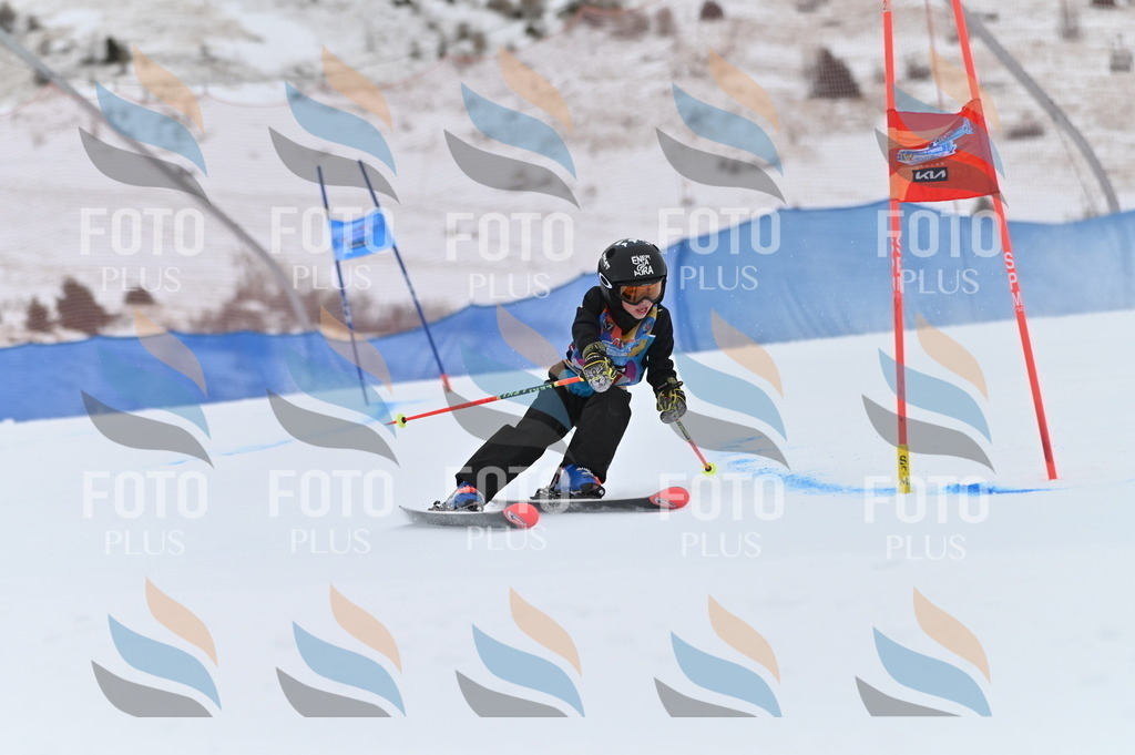 BGV_0164 | holidayphoto