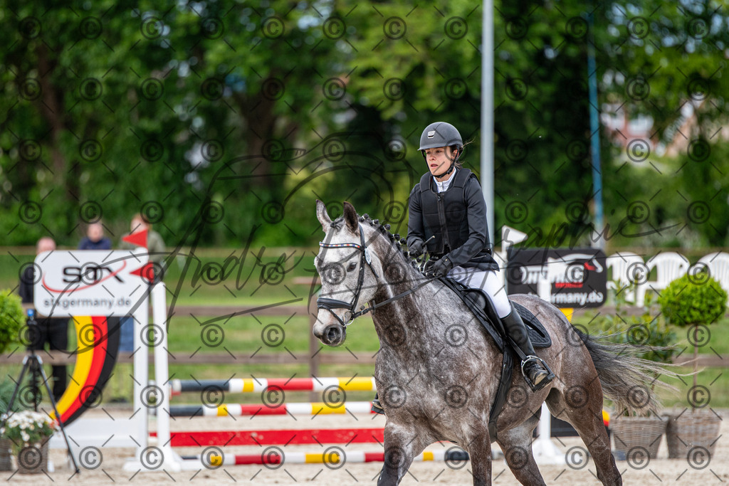 KPT_7268 | andre_photographic