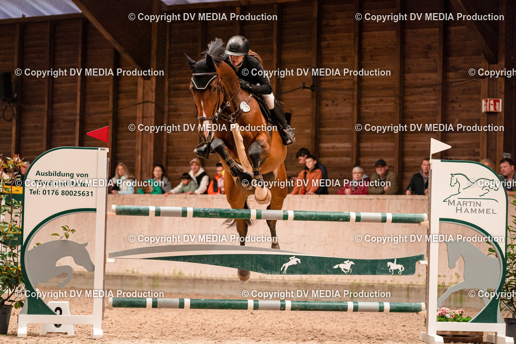 Springen Tag 3-386 | dv-media-shop - Realisiert mit Pictrs.com