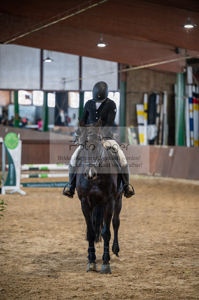 Hallenreittunier Voxtrup 2023 | Entdecke hochwertige Reitturnierfotos von Foto Oger. Professionell, emotional und authentisch – jetzt Lieblingsmomente im Shop bestellen.Deutschlandweite Turnierfotografie. - Realisiert mit Pictrs.com