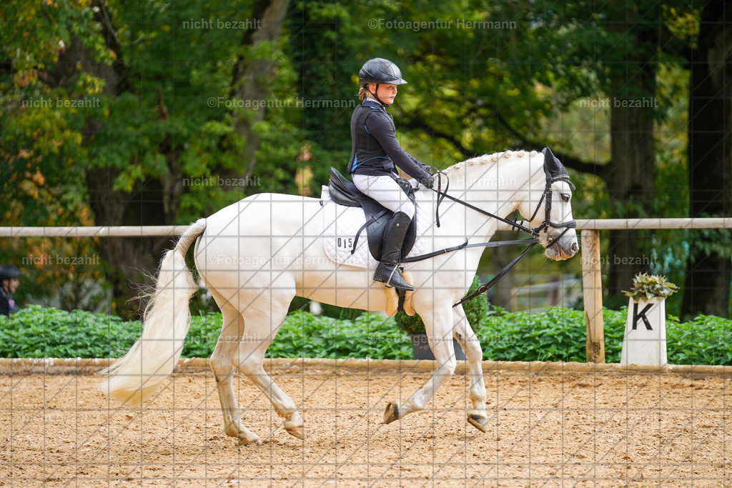 20221008-FAH01263 | Diessen am Ammersee, 2022, Dressur- und Springturnier, Reitsportbilder, Turnierfotografen Bayern, Pferdefotografen, Fotoagentur Herrmann, Turnierbilder
