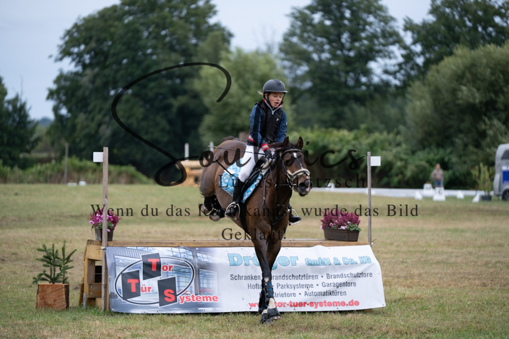 A7V00303 | Pferdefotograf