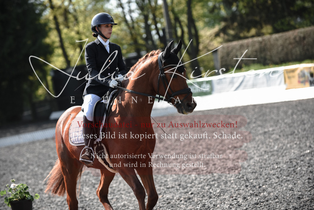 20230513_JK-Röhrsdorf-14-121 | Pferde- und Turnierfotografie in Westsachsen. Pferdeportraits, Auftragszeichnungen und intuitive Kunst.