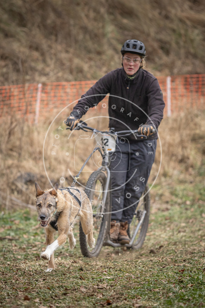 Pfotenfotografie_DV3A6618 | Hundefotografie, Tierfotograf, Pfotenfotografie, Fotoshooting Hund, Hunde Portrait, Hundesport, Hundeportraits, Heideshooting, Hunde, Sportfotograf, Hundefotograf, Turnierhundsport, THS,  - Realisiert mit Pictrs.com