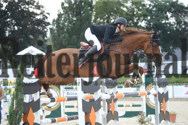 Durmersheim_2022_Prfg.Nr.04_Zwei-Phasen-Springen_Kl.S_Anna-Marlena Zehnle_Harley Quinn 4 (2) | Alle Fotos der Reiterjournal Fotografin Doris Matthaes im Reiterjournal Online-Fotoshop. - Realisiert mit Pictrs.com