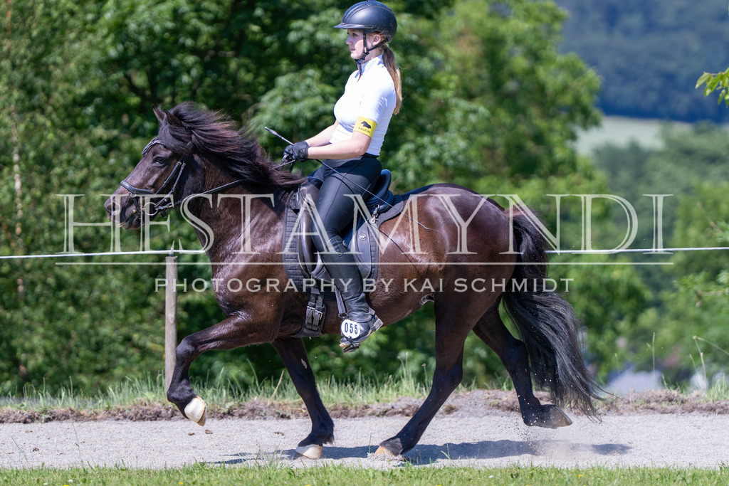 KAI05442 | Ihr sucht einen Fotografen für eure nächste OSI? Ich begleite auch euer Turnier für Islandpferde fotografisch.  - Realisiert mit Pictrs.com