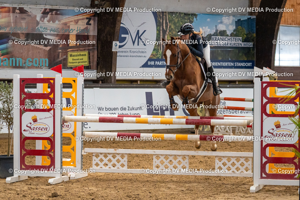 Kranichstein Tag 2-252 | dv-media-shop - Realisiert mit Pictrs.com