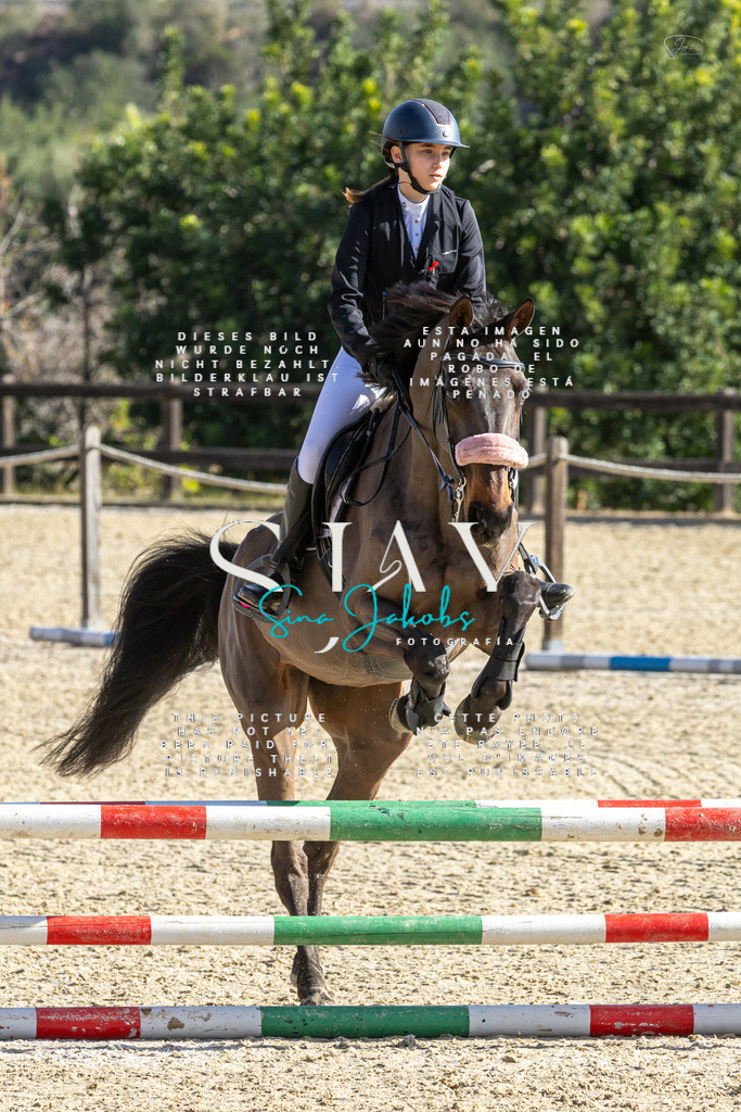 IMG_3671 | s-jay-photography - Realisiert mit Pictrs.com