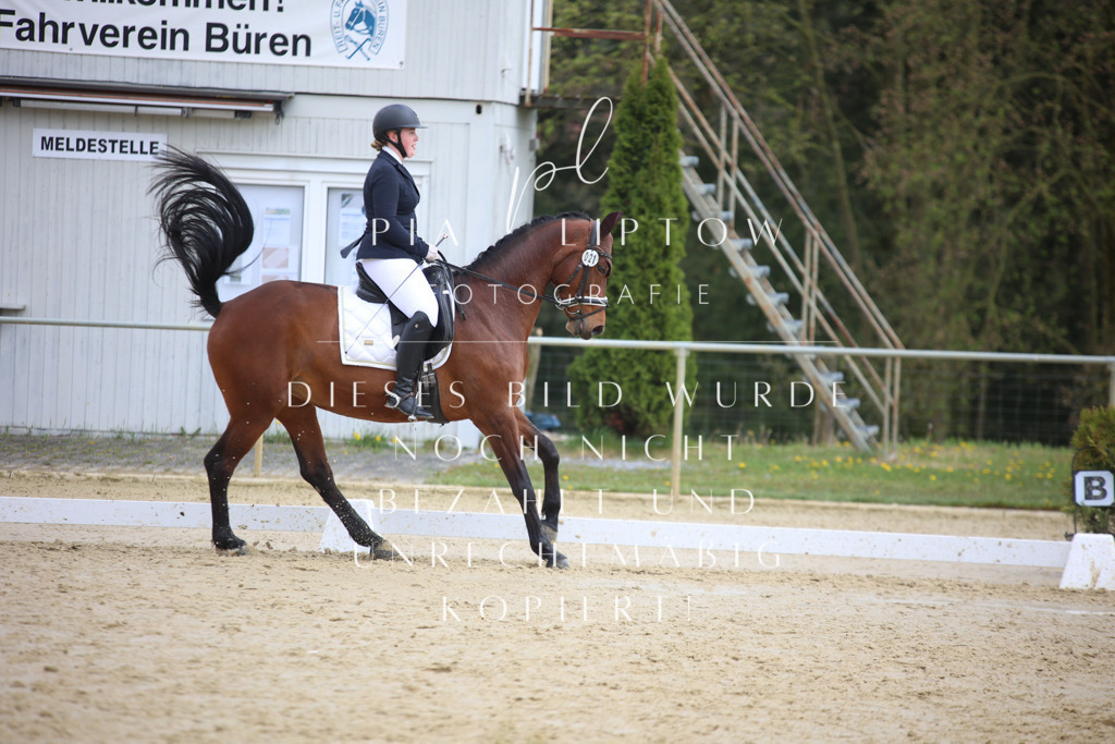 IMGT5326 | pl-fotografie