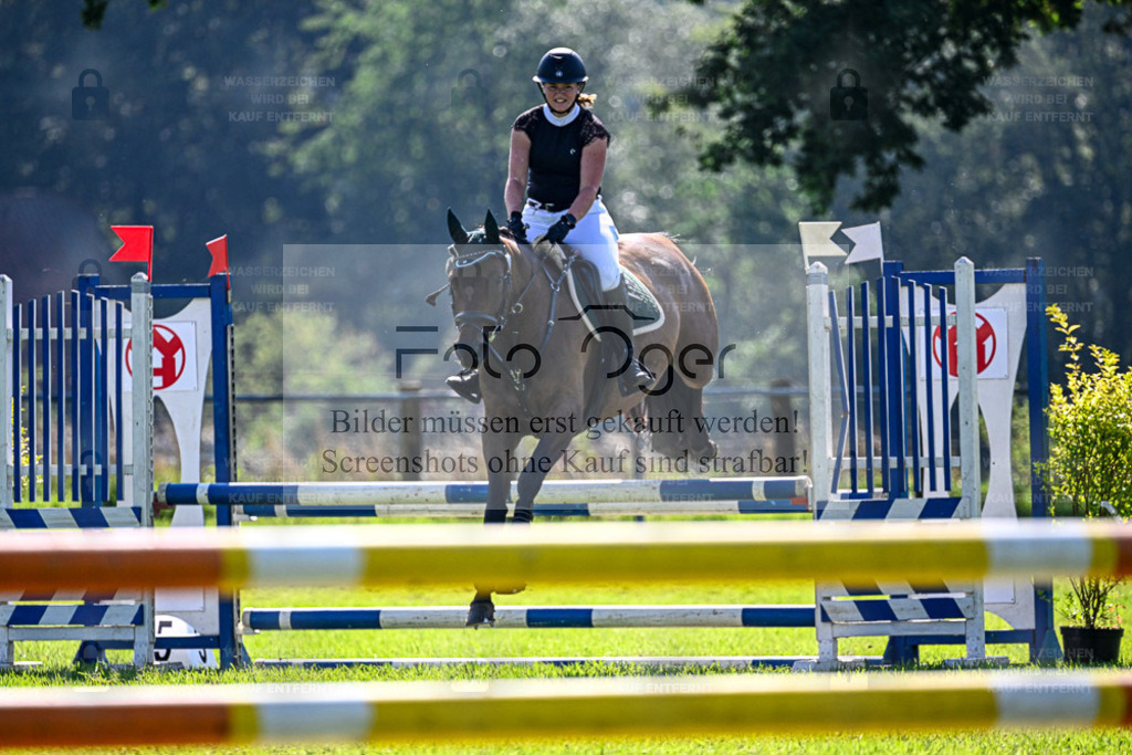 Reitturnier Hasbergen | Entdecke hochwertige Reitturnierfotos von Foto Oger. Professionell, emotional und authentisch – jetzt Lieblingsmomente im Shop bestellen. - Realisiert mit Pictrs.com