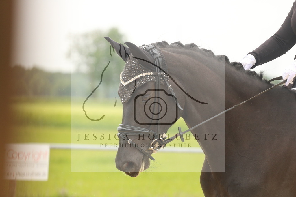 IMG_6845 | jessicahollubetz_pferdephotographie - Realisiert mit Pictrs.com