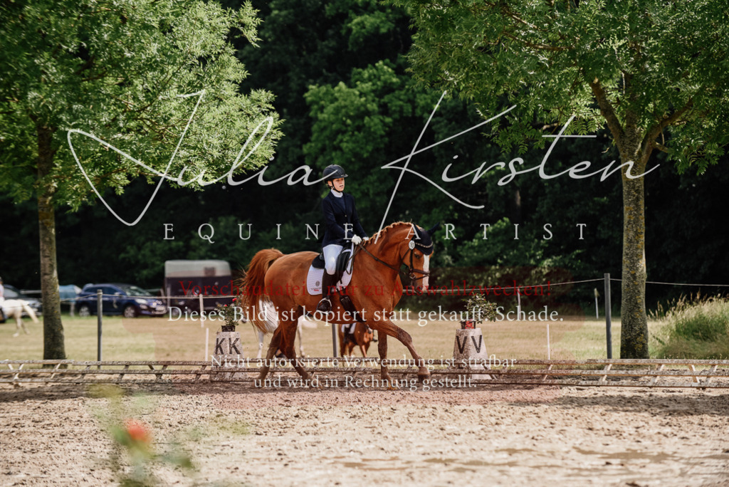 DSC_0033 | Pferde- und Turnierfotografie in Westsachsen. Pferdeportraits, Auftragszeichnungen und intuitive Kunst.