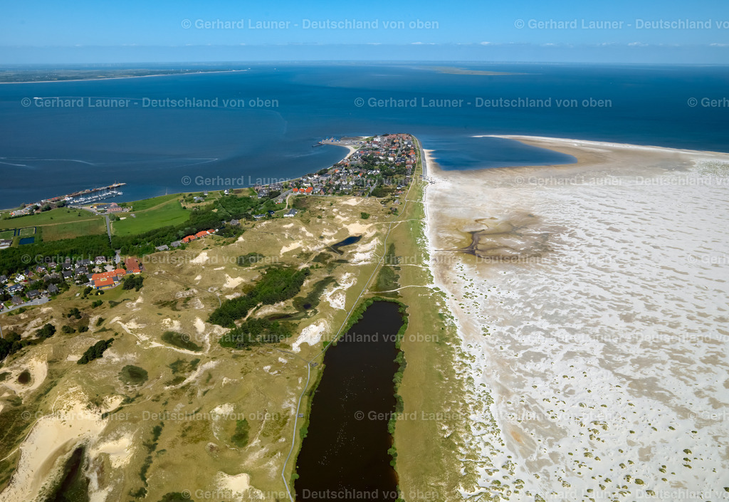 3091333 | Wittdün auf Amrum, Nationalpark Schleswig-Holsteinisches Wattenmeer