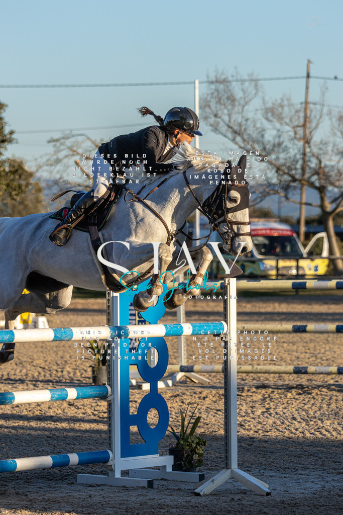 IMG_3021 | s-jay-photography - Realisiert mit Pictrs.com